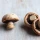 Chocolate meringue mushrooms